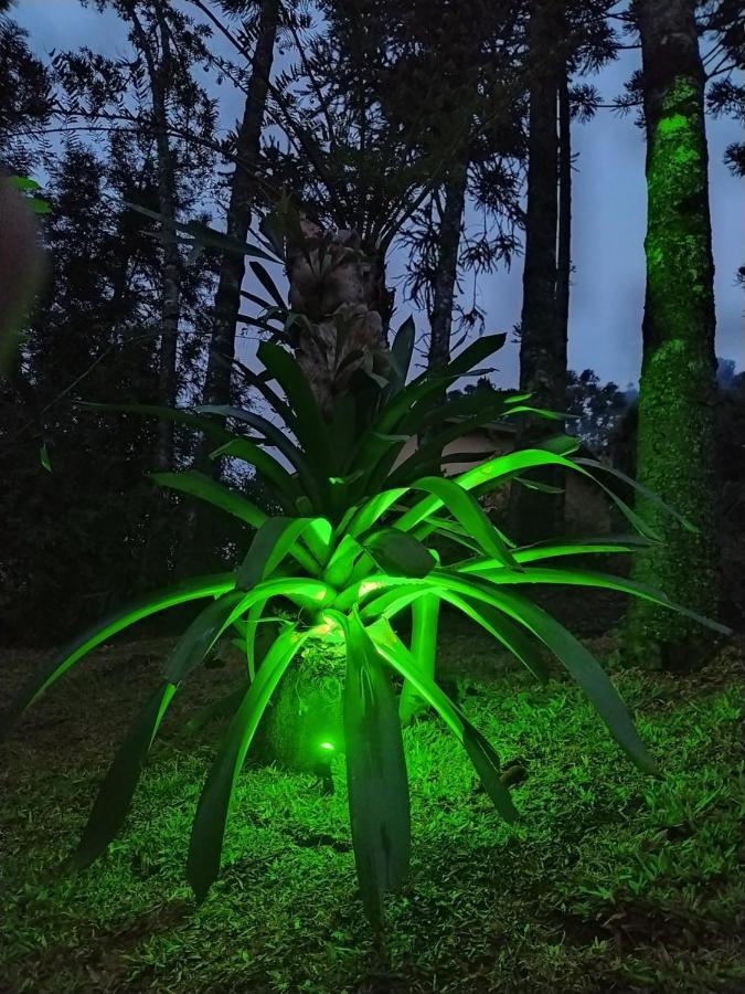 Chales Descanso Na Serra Monte Verde  Exterior foto